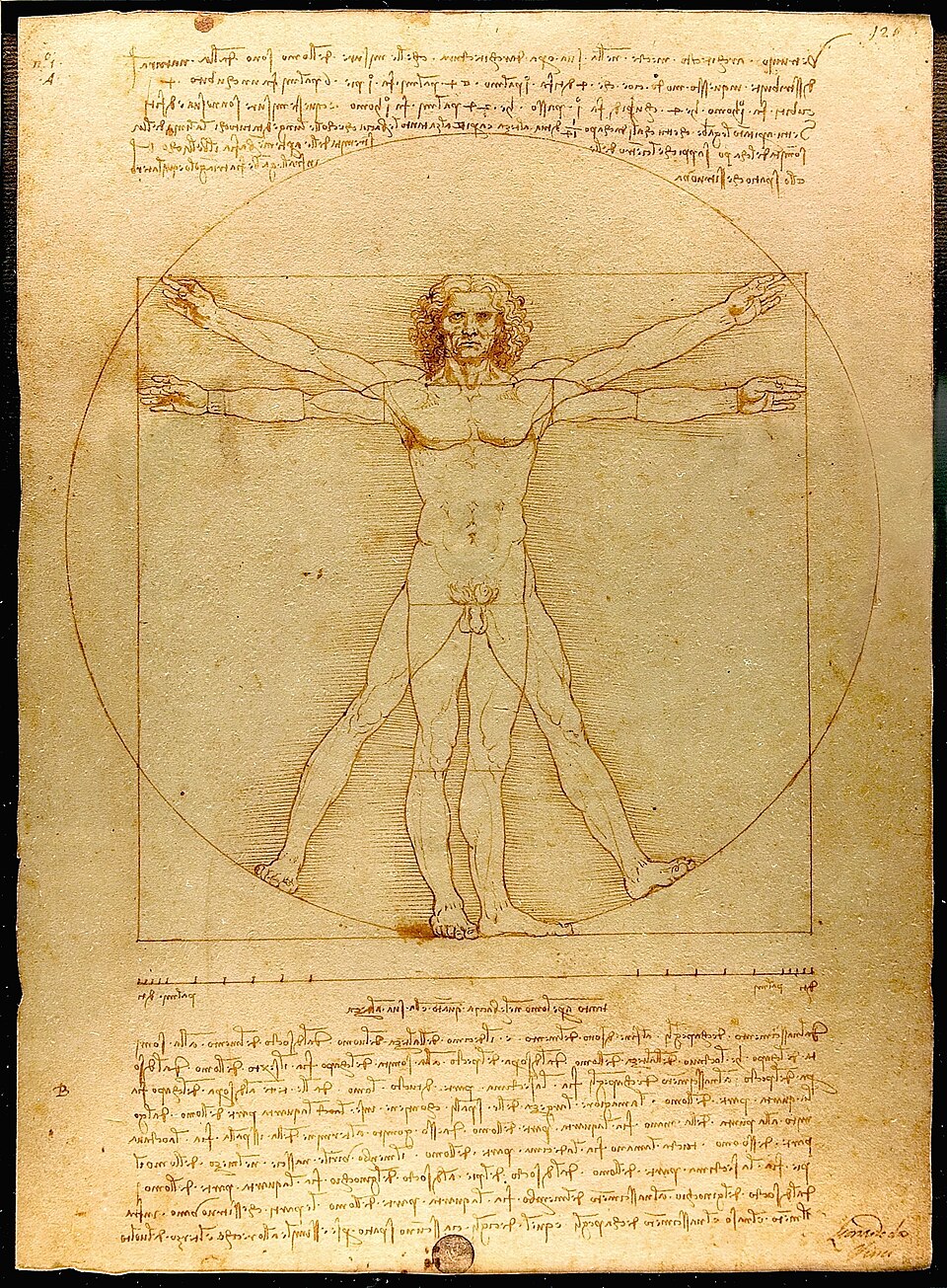 Leonardo da Vinci - Der vitruvianische Mensch: Renaissance-Zeichnung mit Proportionslehre